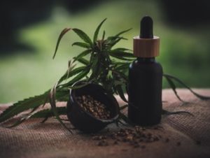cbd oil